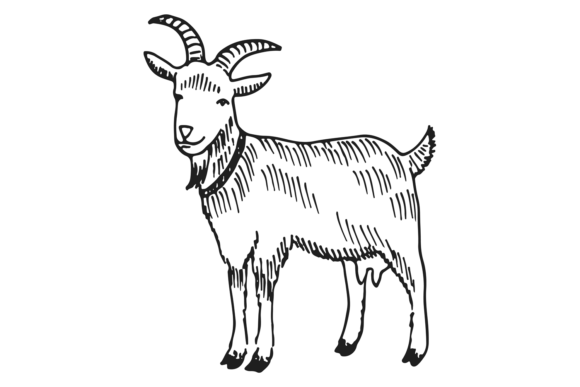 Download Goat Sketch. Hand Drawn Farm Mammal Anim - Premium Resources