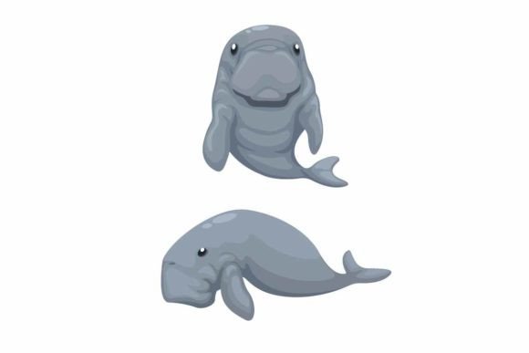 Download Dugong Marine Mammal Animal Set Vector - Premium Bundle