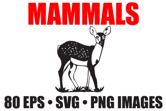 Download Mammal Animals Vector Collection - Premium Bundle